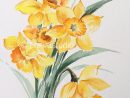 March Birthday Flowers, Daffodil Painting, Original encequiconcerne Dessiner Une Jonquille