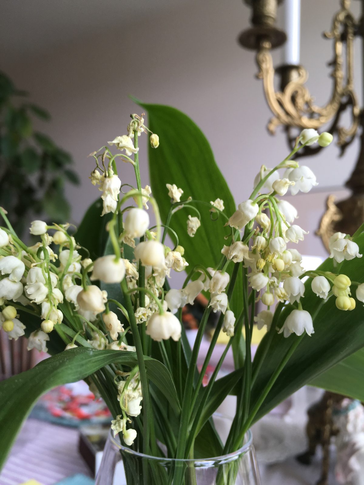 May Day In Paris, Muguet Flowers And A Bit Of Happiness avec Muguet Fleur