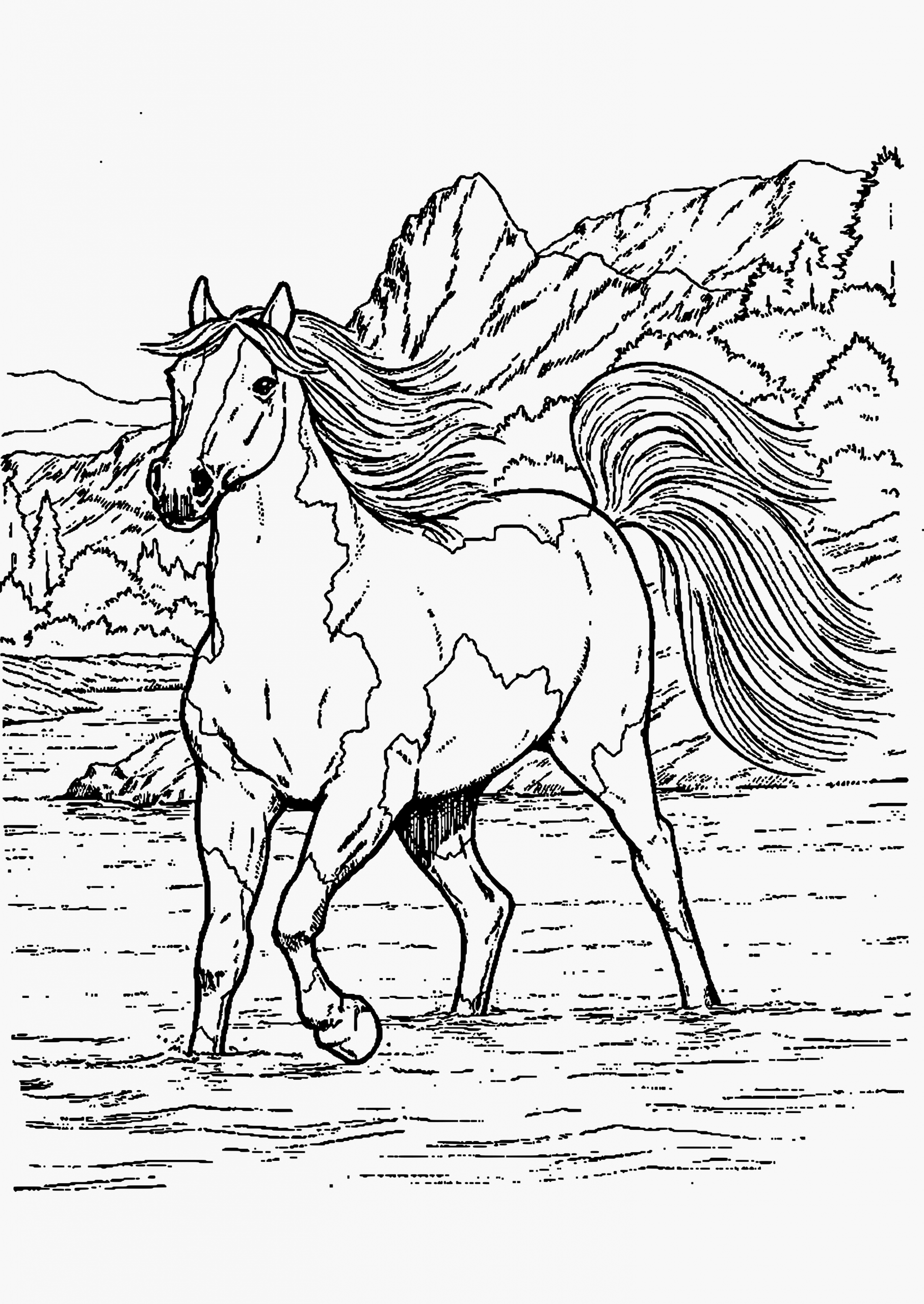 Meilleur Pour Dessin De Cheval Coloriage A Imprimer avec Chevaux À Colorier 