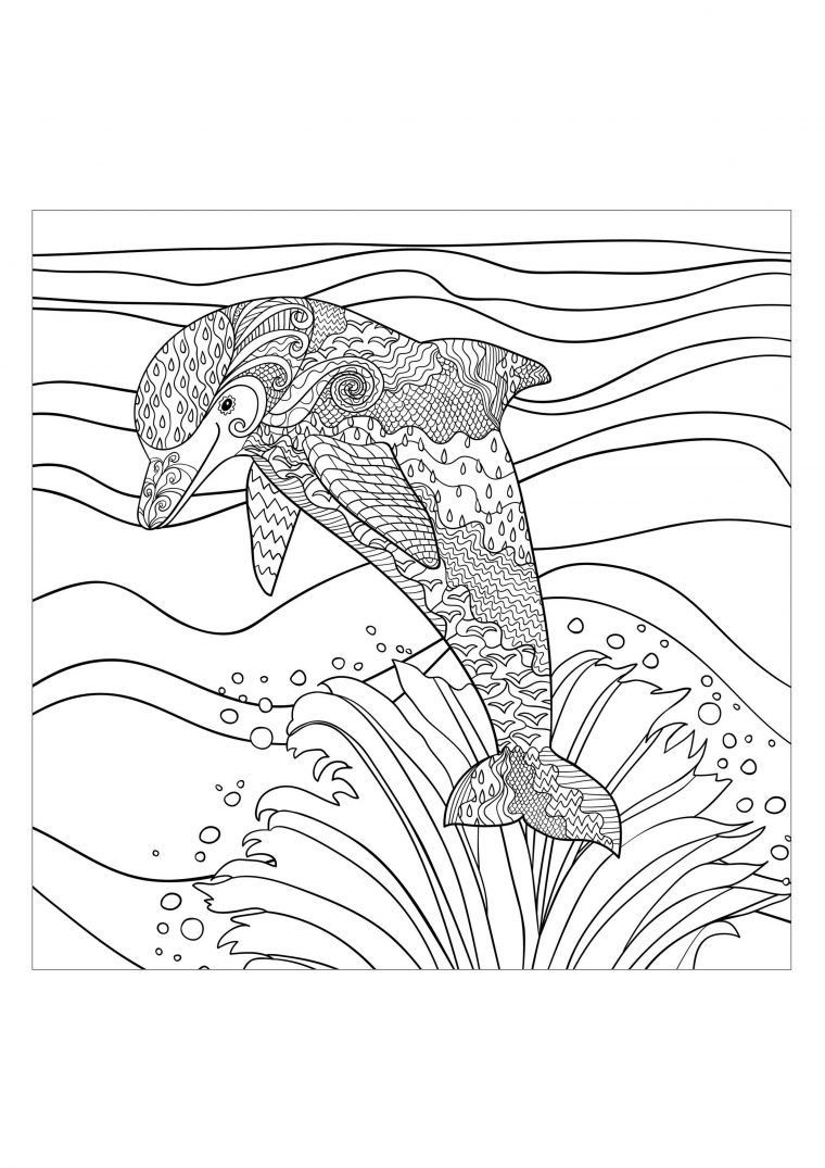 Mer Dauphin – Mondes Aquatiques – Coloriages Difficiles tout Coloriage De Mer