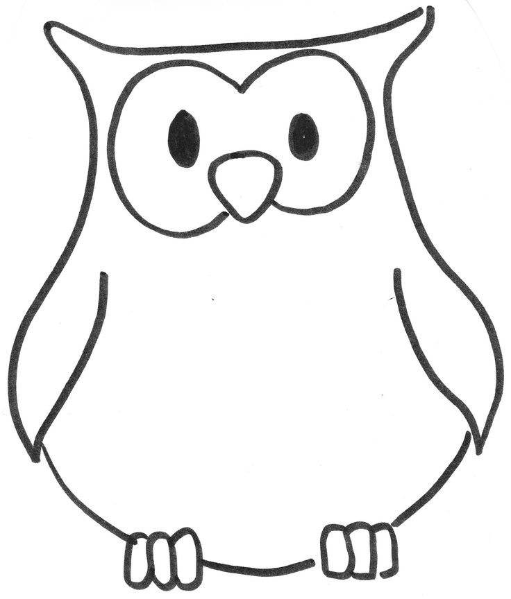 Mes Hiboux  Coloriage Chouette, Coloriage Hibou, Dessin pour Dessins Hibou 