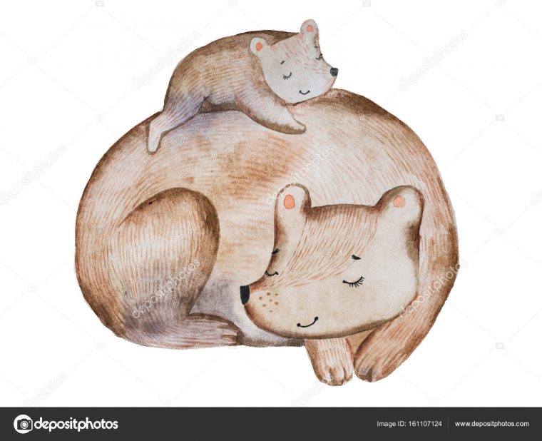 Mignon Ours Brun Dessin Animé Et Petit Ourson Couché Sur concernant Ours Dessin