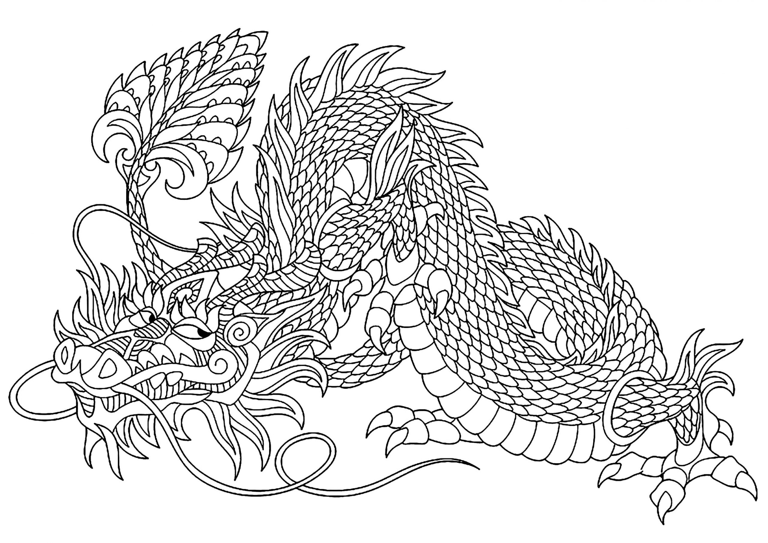 Mischievous Dragon - Dragons Adult Coloring Pages intérieur Dessin Dragon 