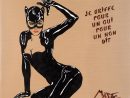Miss.tic  En Cartoon, Elles Cartonnent tout Catwoman Dessin