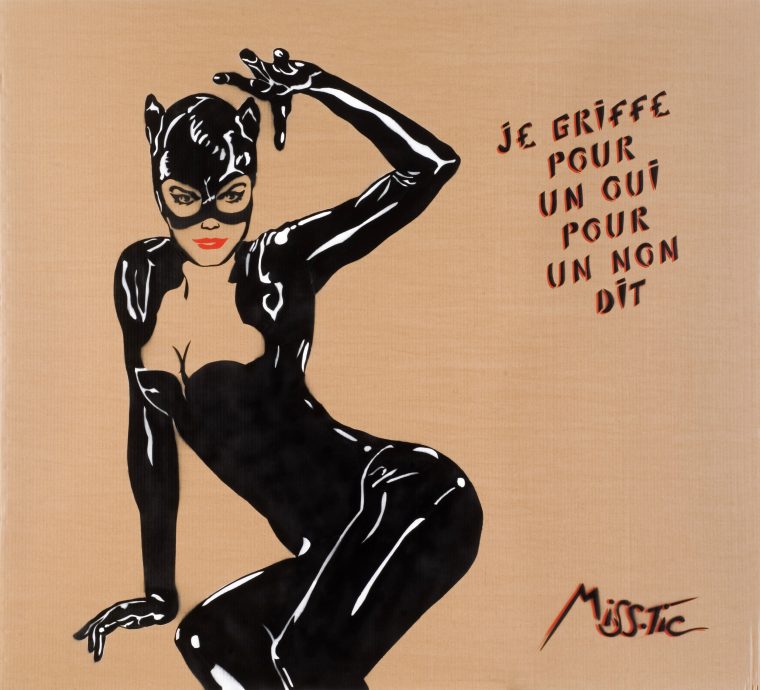 Miss.tic  En Cartoon, Elles Cartonnent tout Catwoman Dessin