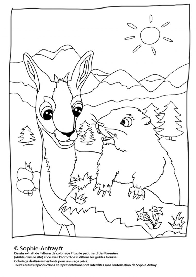 Monde Des Petits – Coloriages À Imprimer à Coloriage À Imprimer Animaux