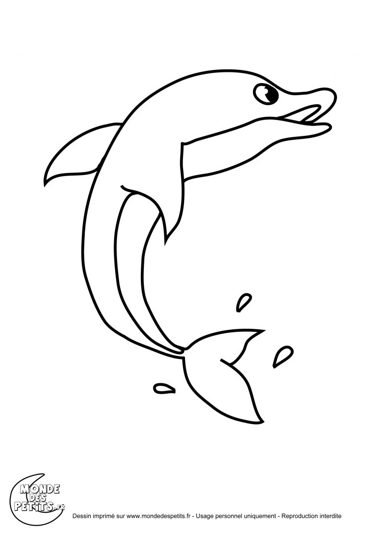 Monde Des Petits – Coloriages À Imprimer destiné Dessin Dauphins