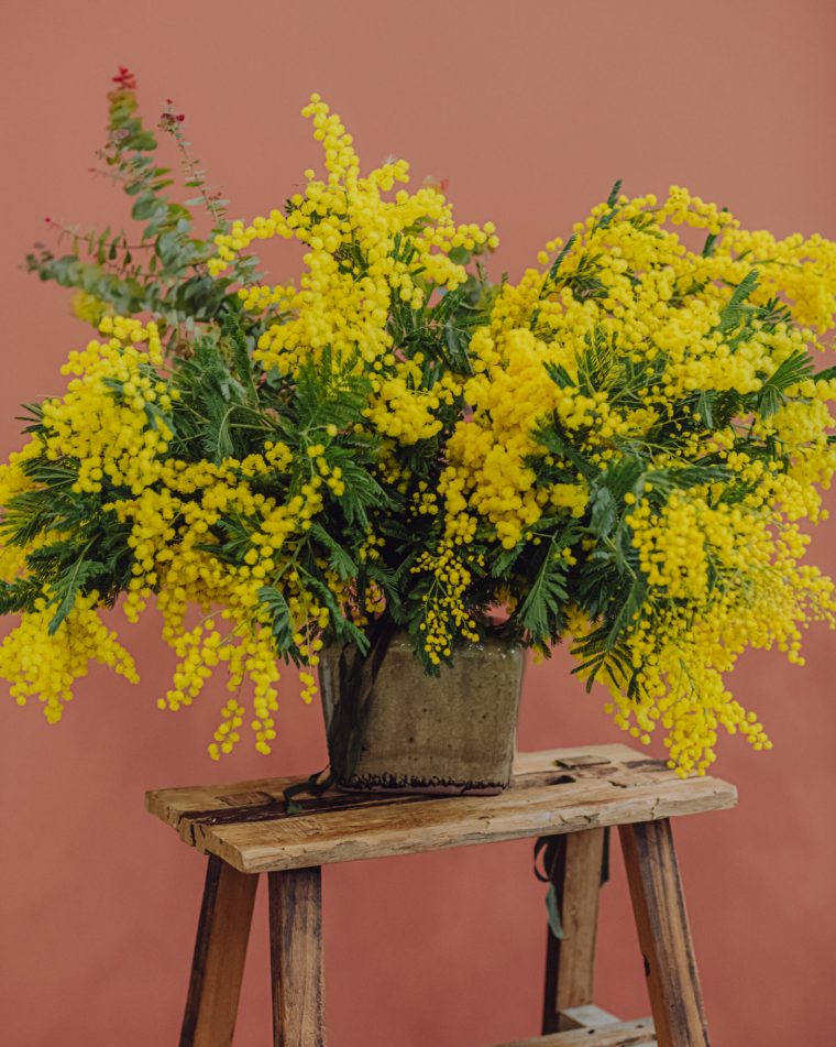 N° 26  Bouquet De Mimosa  Reflets Fleurs  Scénographe encequiconcerne Fleurs Mimosa