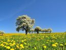 Nature Landscape Spring - Free Photo On Pixabay intérieur Images Nature Gratuite