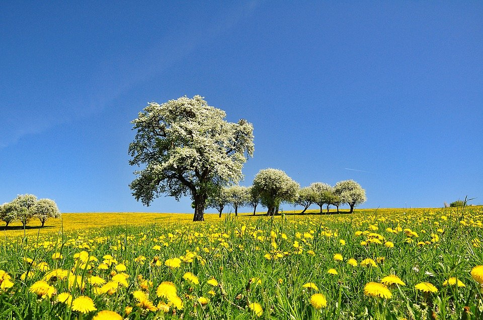 Nature Landscape Spring - Free Photo On Pixabay intérieur Images Nature Gratuite 