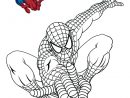 Nice 12 Spiderman Moto Coloriage  Coloriage Spiderman pour Spiderman A Colorier