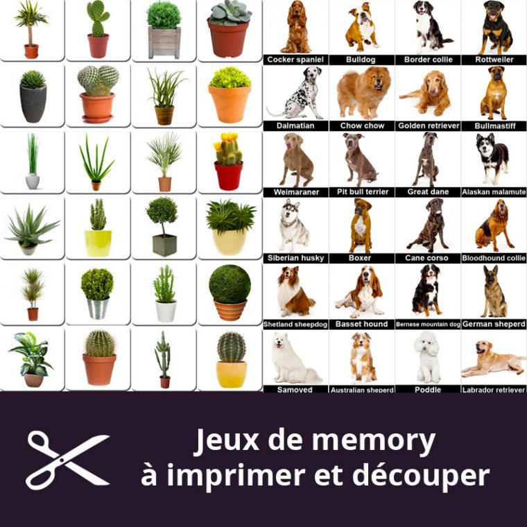 Nombreux Jeux Memory À Imprimer Pour Les Séniors, Imprimez pour Jeux A Imprimer Gratuit Adulte