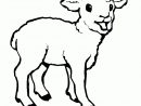Nos Jeux De Coloriage Mouton À Imprimer Gratuit concernant Dessin Mouton
