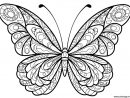 Nouveau Pour Dessin Papillon A Imprimer Gratuit - Random pour Papillon Dessin A Colorier