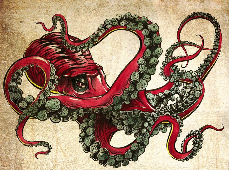 Octopus By Jilipollo :D  Octopus Tattoos, Octopus Art avec Pieuvre Dessin 