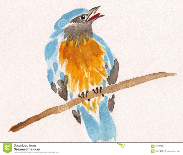 Oiseau De Dessin D'Aquarelle Sur Une Branche Images Libres tout Dessin Oiseau