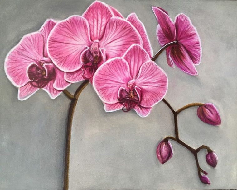 Original 8 X 10 Orchidée Dessin Au Crayon De Couleur  Etsy avec Dessin D Orchidée