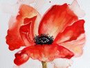 Original Watercolor Red Poppy Flower Floral Watercolor 6X8 pour Dessin Coquelicot Fleur