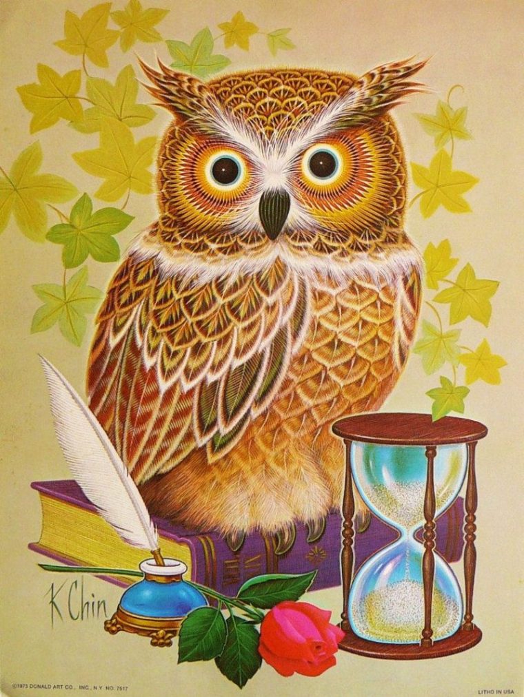 Owl Painting, Owl Art Print, Owl Art avec Dessins Hibou