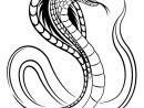, Page 17 Sur 24 Sur Hugolescargot  Snake Drawing destiné Dessin Escargot À Colorier