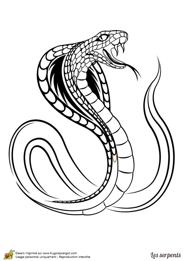 , Page 17 Sur 24 Sur Hugolescargot  Snake Drawing destiné Dessin Escargot À Colorier 