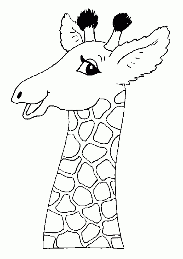 , Page 18 Sur 29 Sur Hugolescargot  Giraffe Coloring destiné Dessin Girafe Facile 
