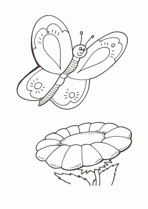 , Page 30 Sur 52 Sur Hugolescargot  Coloriage intérieur Coloriage De Papillon Sur Une Fleur 