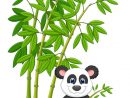 Panda De Dessin Animé Assis Et Mangeant Du Bambou serapportantà Dessin De Bambou