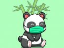 Panda Mignon Assis Et Portant Un Masque Avec Illustration dedans Panda Dessin