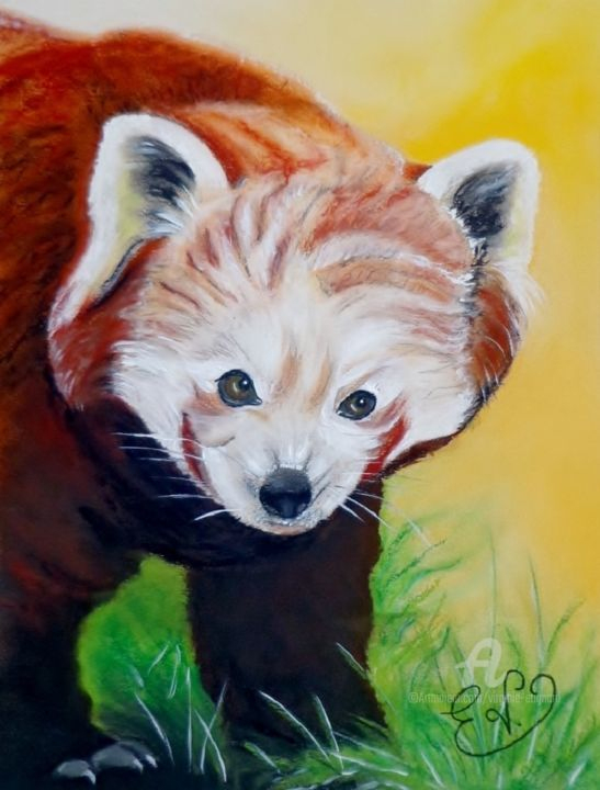 Panda Roux (Virginie Etignard) encequiconcerne Panda Roux Dessin