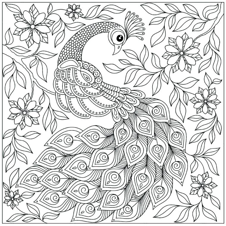 Paon Entier – Paons – Coloriages Difficiles Pour Adultes tout Coloriage D Adulte