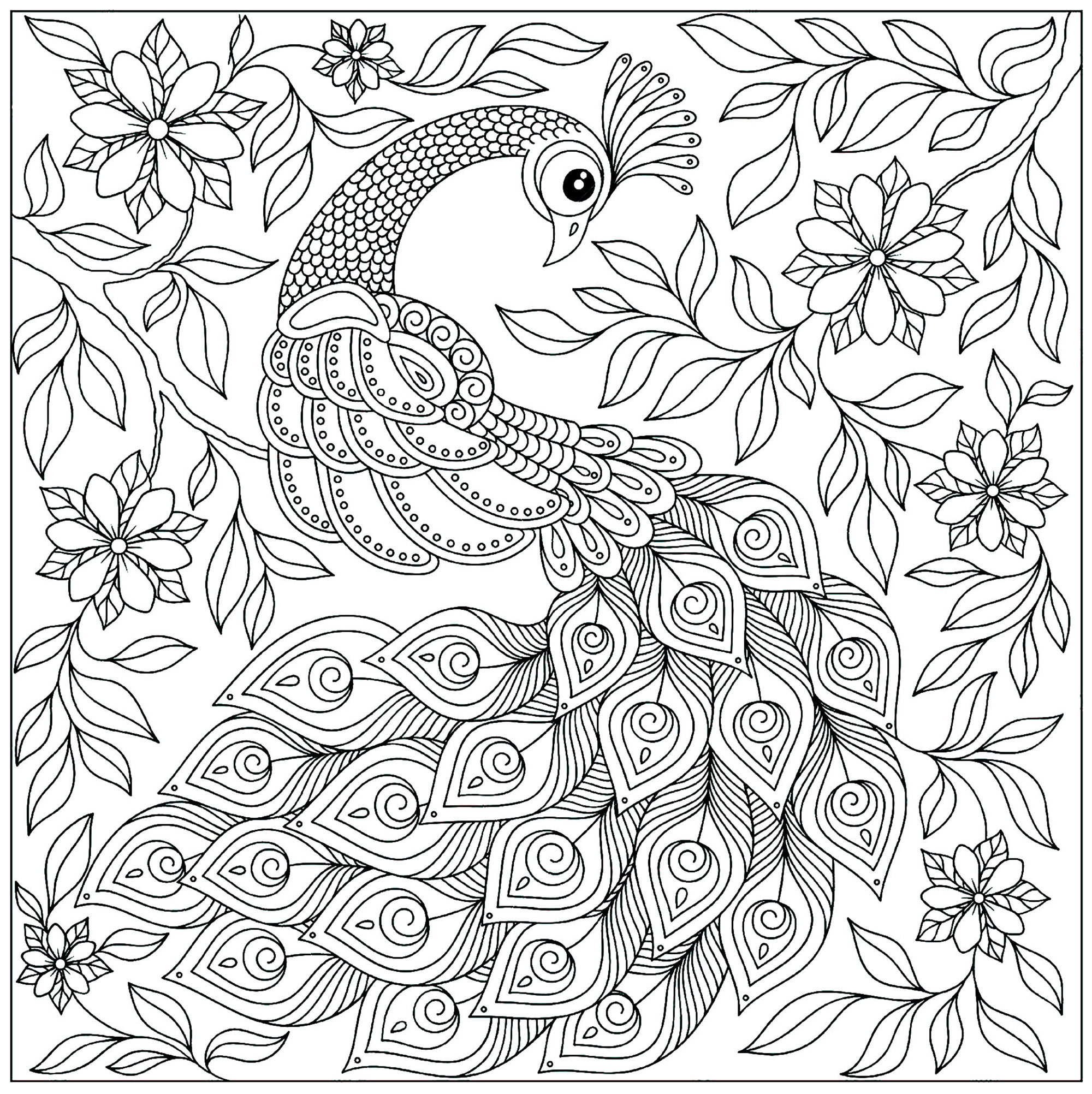 Paon Entier - Paons - Coloriages Difficiles Pour Adultes tout Coloriage D Adulte 