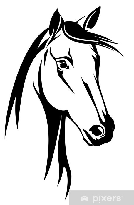 Papier Peint Tête De Cheval Design Noir Et Blanc • Pixers concernant Tete De Cheval A Dessiner 