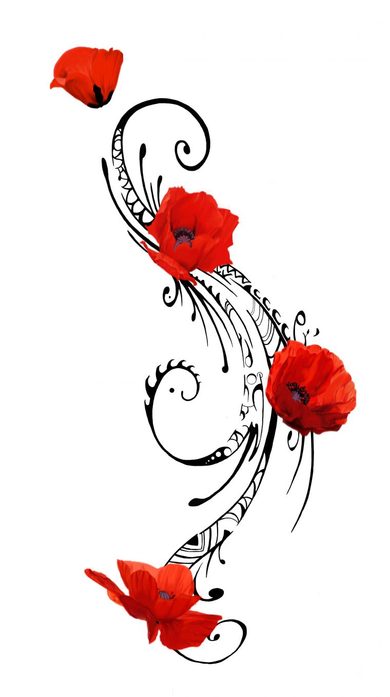 Papillon Et Coquelicots  Coquelicot Uage, Motifs De dedans Dessin Coquelicot Fleur