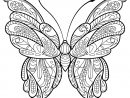 Papillon Jolis Motifs 16 - Papillons &amp; Insectes concernant Coloriage Papillon Simple