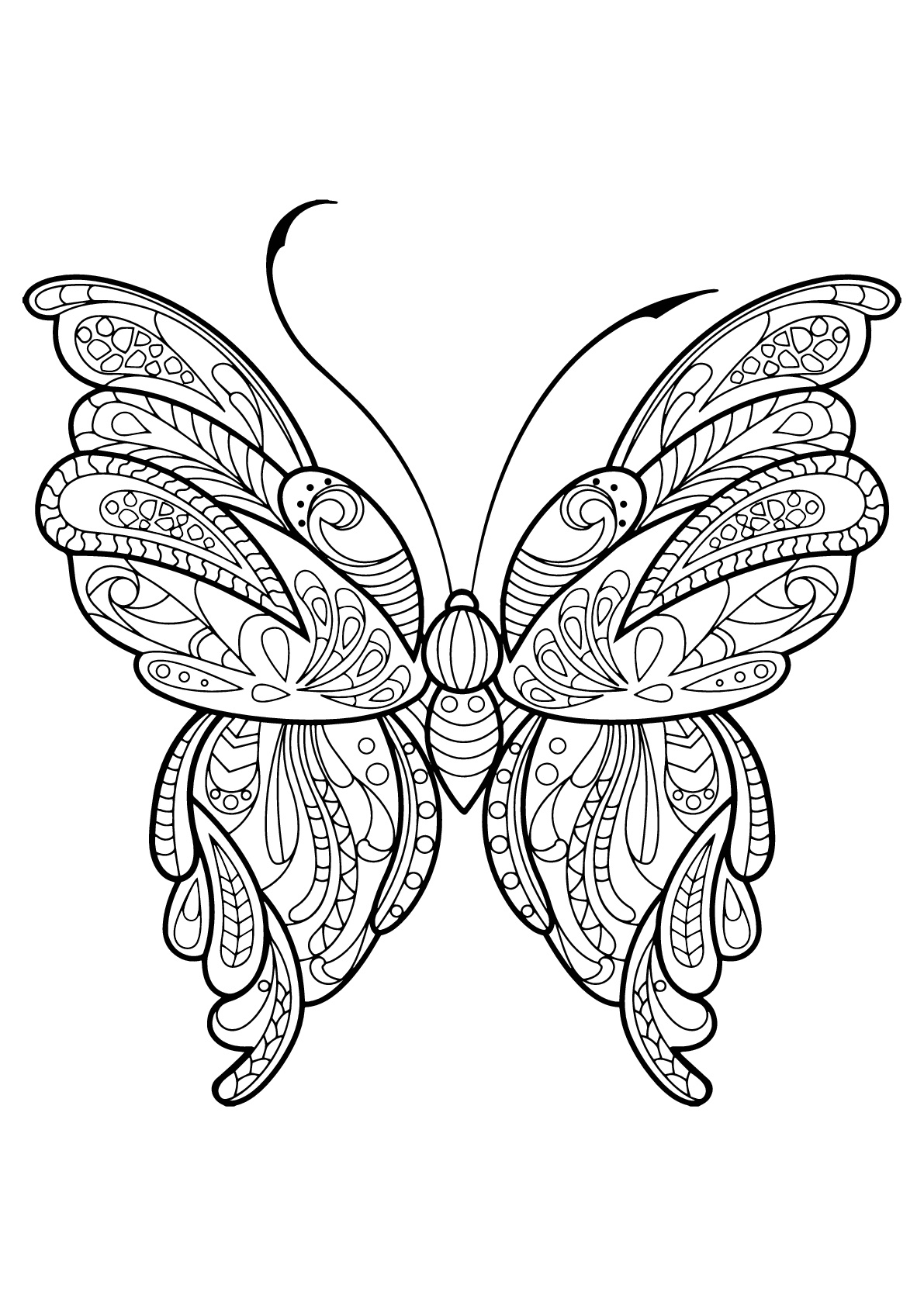 Papillon Jolis Motifs 16 - Papillons &amp;amp; Insectes concernant Coloriage Papillon Simple 