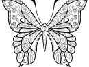 Papillon Jolis Motifs 4 - Papillons &amp; Insectes dedans Image Papillon À Colorier