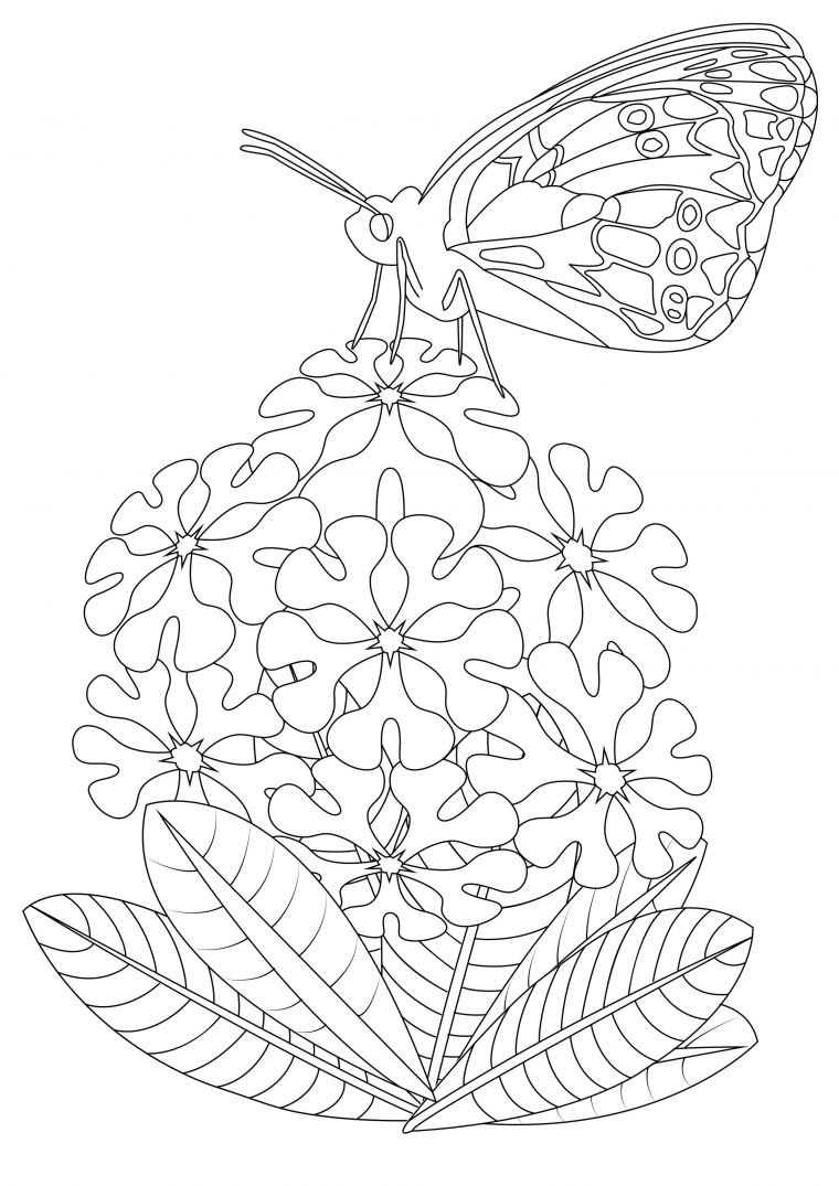 Papillon Sur Fleurs 2 – Papillons & Insectes – Coloriages encequiconcerne Papillon Coloriage