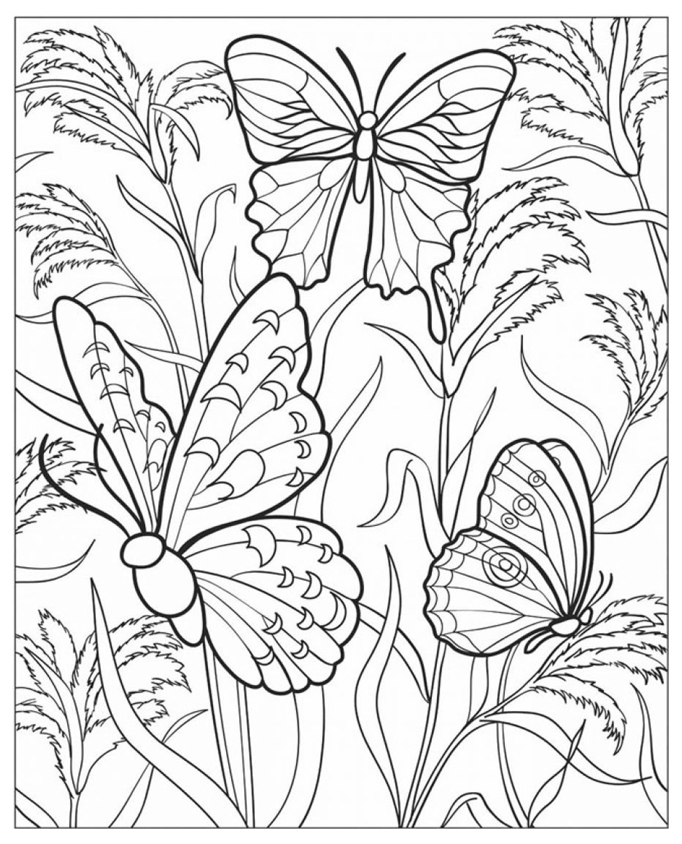 Papillons - Coloriage Adulte - Coloriages Pour Enfants encequiconcerne Coloriage Papillon À Imprimer 