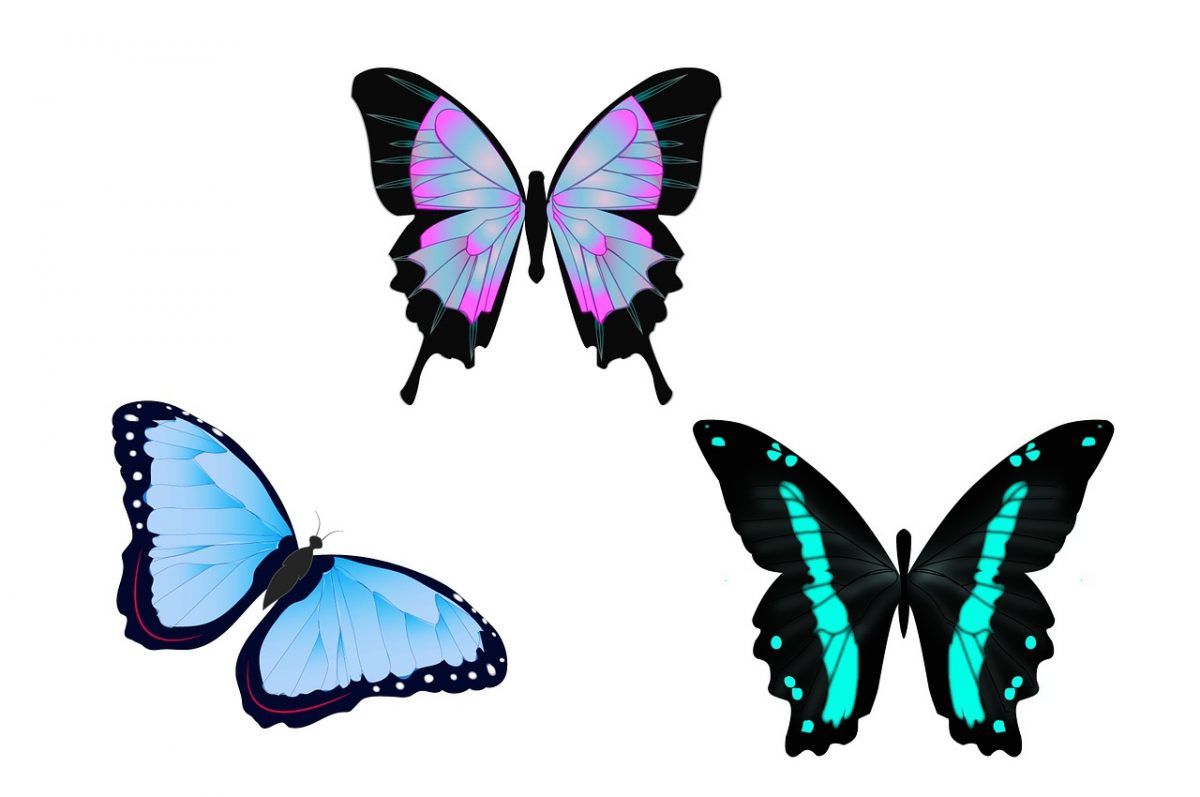 Papillons Illustration Dessin - Image Gratuite Sur Pixabay concernant Papillon Image Dessin