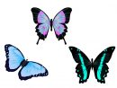 Papillons Illustration Dessin - Image Gratuite Sur Pixabay concernant Papillon Image Dessin