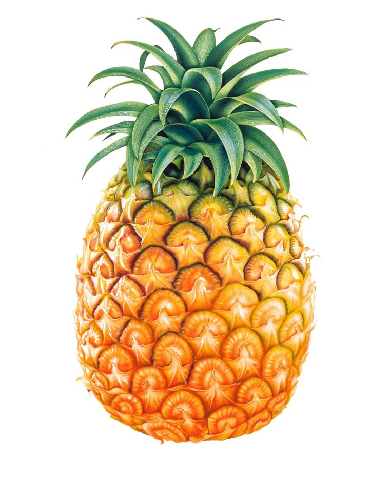 Pâte Ananas Seau 5 Kg – Pâtes D'Aromatisation – Princesse tout Dessin Ananas