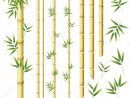 Patron Sans Couture En Bambou. Illustration Vectorielle à Dessin De Bambou