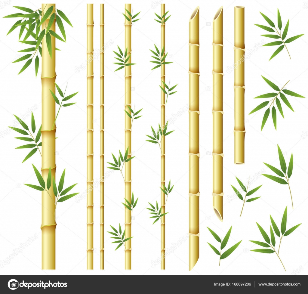 Patron Sans Couture En Bambou. Illustration Vectorielle à Dessin De Bambou 