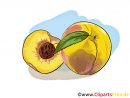 Pêches Illustration - Fruits Images - Fruits Et Légumes intérieur Dessin De Fruits