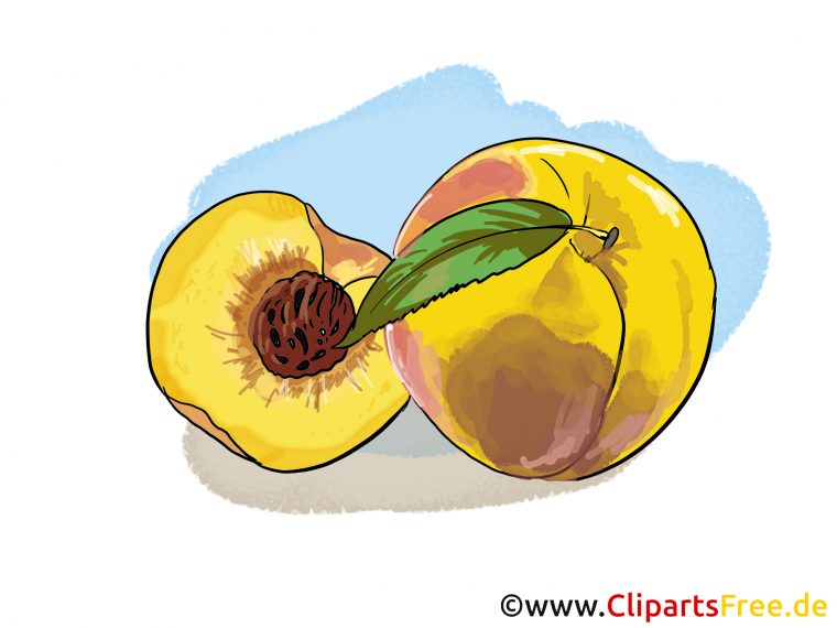 Pêches Illustration – Fruits Images – Fruits Et Légumes intérieur Dessin De Fruits