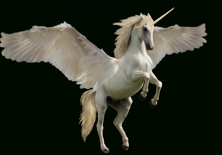 Pegase Licorne In 2020  Unicorn Images, Mythical à Cheval Pégase