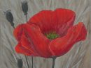 Peindre Fleur L'Acrylique  Poppy Painting, Red Poppy destiné Dessin Coquelicot Fleur