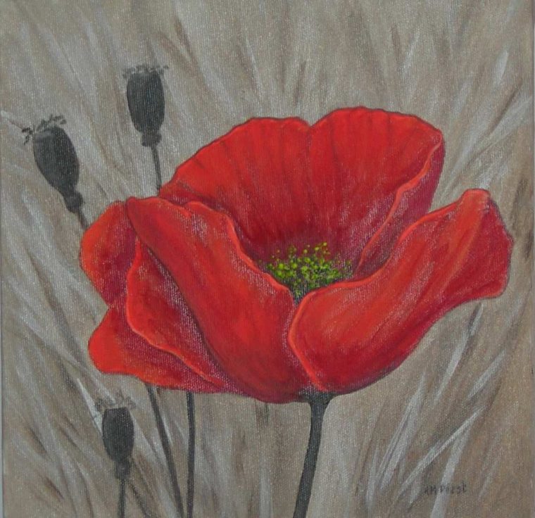 Peindre Fleur L'Acrylique  Poppy Painting, Red Poppy destiné Dessin Coquelicot Fleur