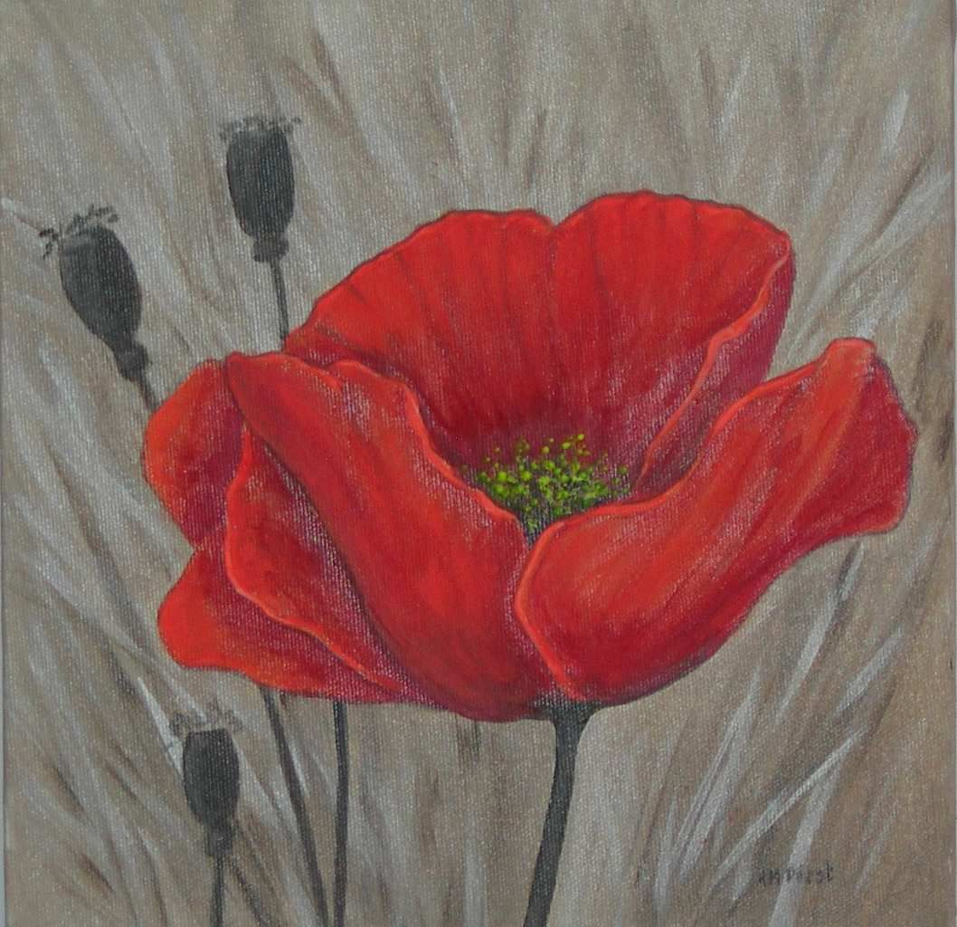 Peindre Fleur L'Acrylique  Poppy Painting, Red Poppy destiné Dessin Coquelicot Fleur